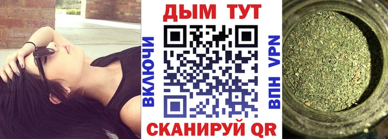 Конопля сатива Богданович