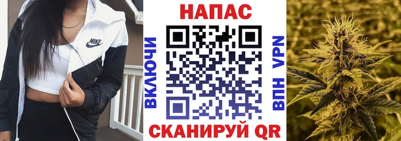 Канабис семена  как найти закладки  МЕГА как войти  Богданович 
